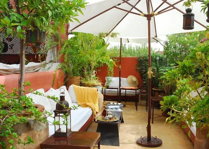 Riad La Terrasse Des Oliviers Marrakesh